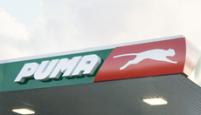 About Puma Our Brands